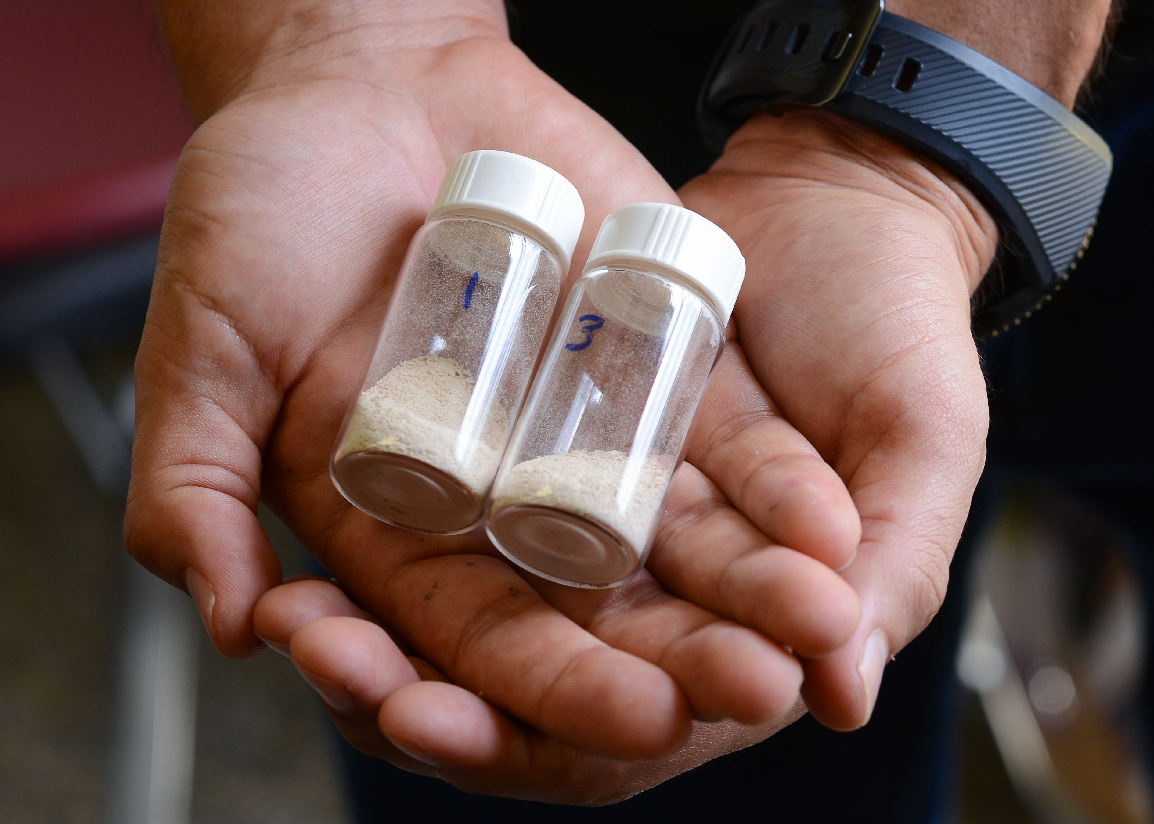 Developing a Probiotics Delivery System for Improving Gut Health 